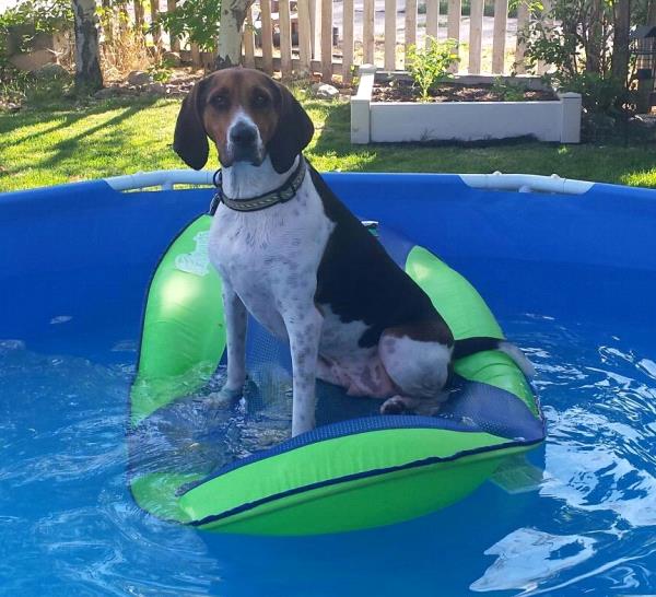 /Images/uploads/Humane Society of Utah/HSUCalendar/entries/1103thumb.jpg